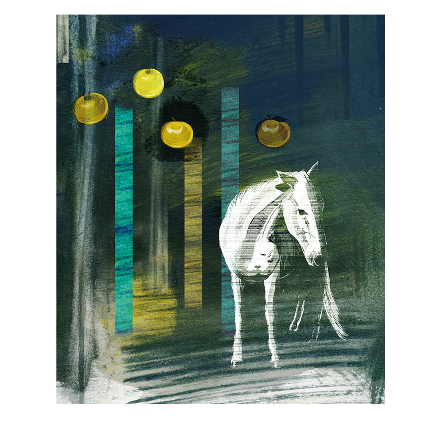 J.Falkengren Illustration Horse